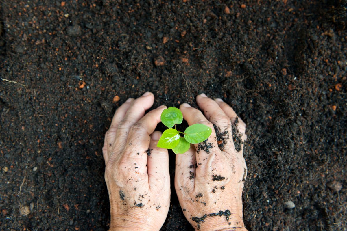 Environmental Protection
