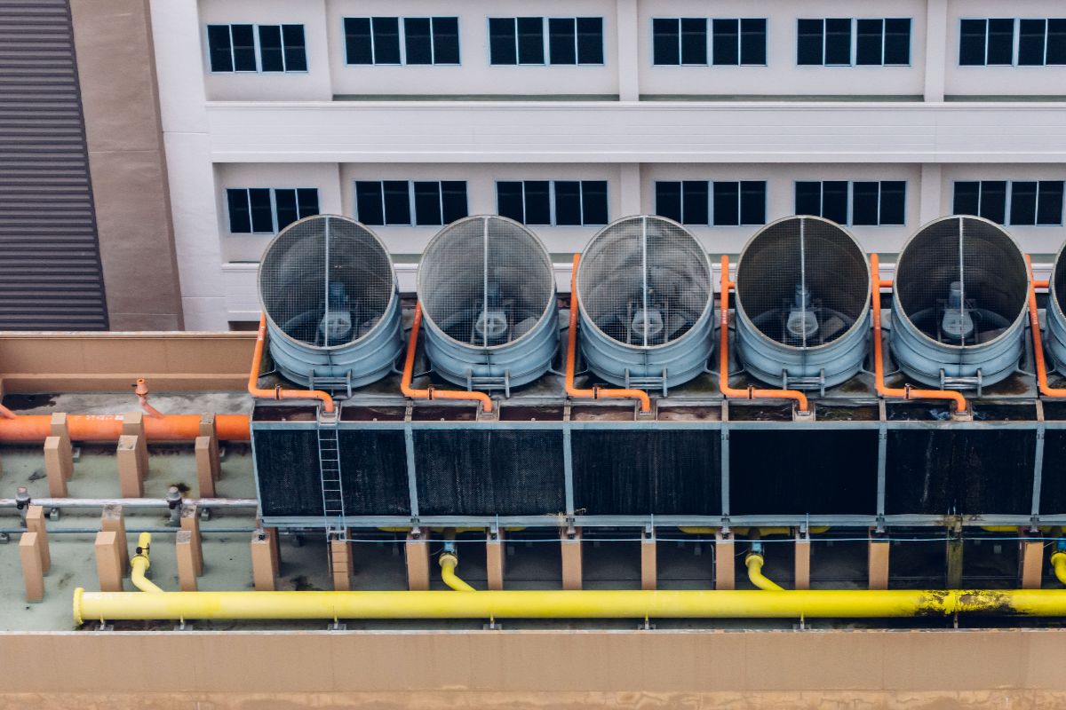 Regulatory and Reputational Consequences