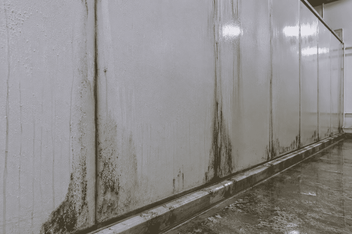 Water Leaks in FRP Wall